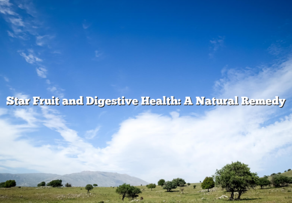 Star Fruit and Digestive Health: A Natural Remedy