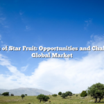The Business of Star Fruit: Opportunities and Challenges in the Global Market
