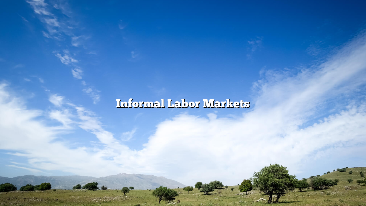 Informal Labor Markets